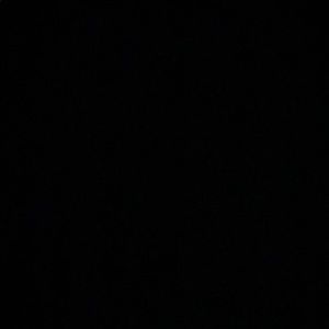 Meet your Posher, Eva